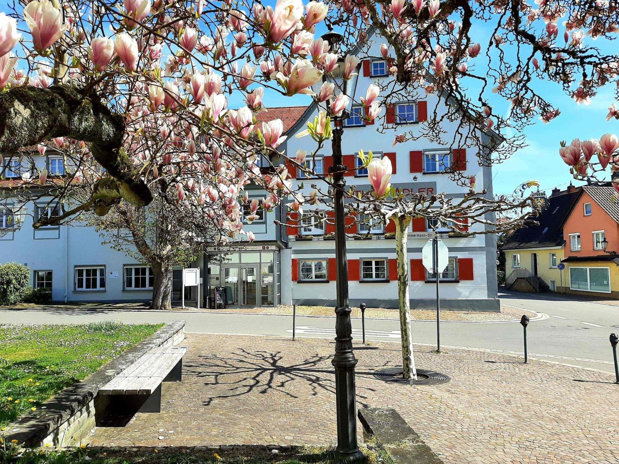 Hotel Restaurant Adler Immenstaad am Bodensee Exterior foto